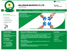 Tablet Screenshot of microfin.co.tz